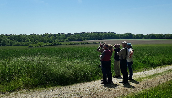 Une journée de prospection fructueuse pour le Groupe circaète de la Vienne